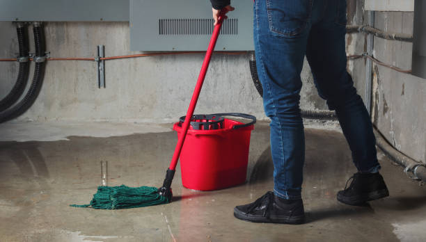 Best Basement water damage restoration  in Clay, AL