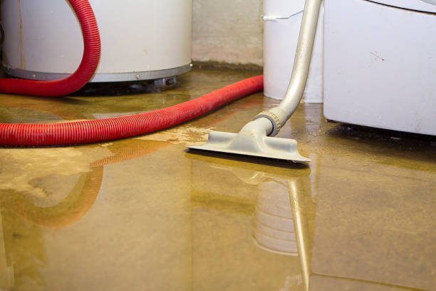 Best Professional water damage repair  in Clay, AL